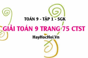 Giải Toán 9 trang 75 tập 1 Chân trời sáng tạo SGK